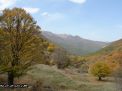 گزارش تصویری از فصل پاییز در جنگل ابر شاهرود
